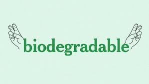 Biologiskt nedbrytbara livsmedelsbehållare av sockerrörsmassa